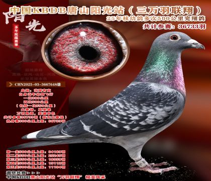 ����ѡ��-�й�KBDB�������辫ѡ.