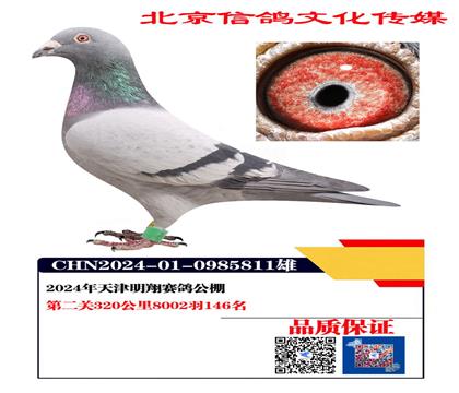 ����146��