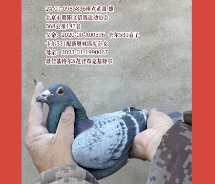 ����X���ض�