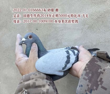 ����� �ɸ�6663