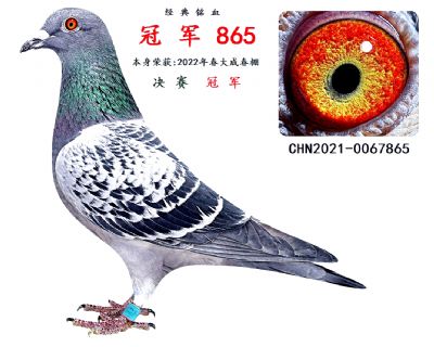 母 亲 公棚冠军