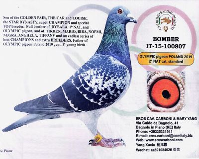 祖父 奥林匹克轰炸机