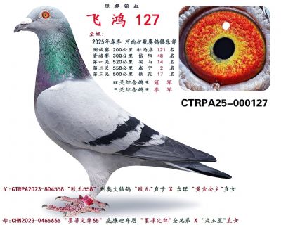 ˫�عھ�ȫ�ֵ�