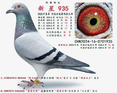 全姐 双关综合冠军