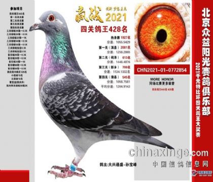 北京众益阳光赛鸽俱乐部千元特比环四关综合鸽王428名 雄