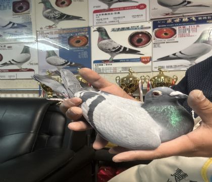 3.��ɽ����20�����