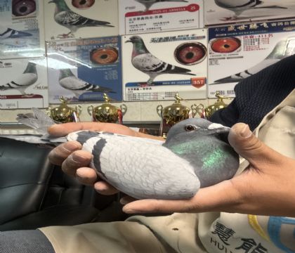 4.���Ѹ���40������