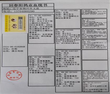 ����Ѫͳ��