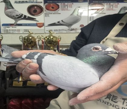 18.�����ָ�125