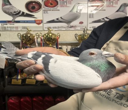 19.������013