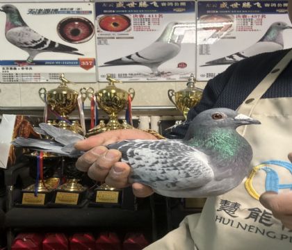 20.�����ָ�333