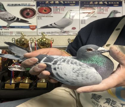 22.���������رȻ��й�486