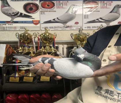 25.�����ָ�382