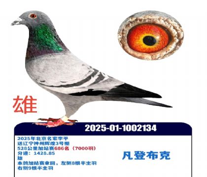 ���ݻԻͼ�վ��686��