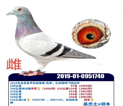 ����ͨ��