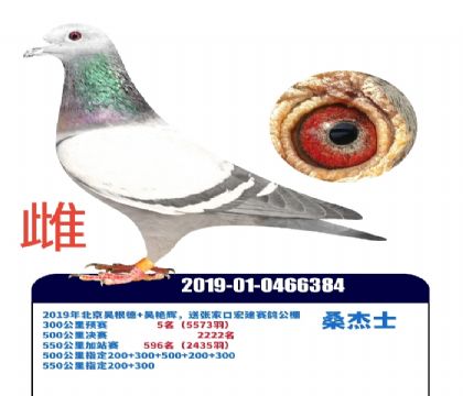 �żҿں꽨Ԥ��5��