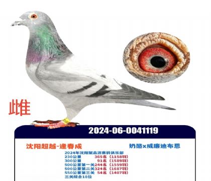 ������Խ