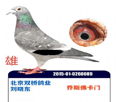 ����˫�Ÿ�ҵ-��˹����