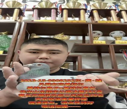 �ƹ������ѡ�����ǲ��ˡ����ض���ֱ��X�����ض���ֱŮ