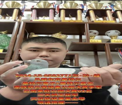 �ƹ������ѡ�����ǲ��ˡ����ض���ֱ��X�����ض���ֱŮ