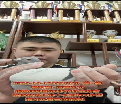 ���ٷ�������˹��.�����߶�����098ֱ��X098��Ů��������