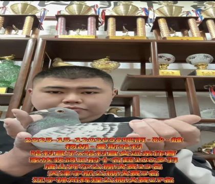 �����������������˹����ֱ��X����ֱŮ��������