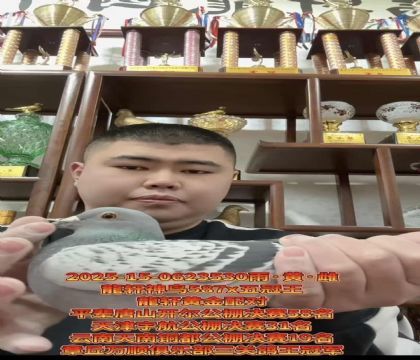 ��������587X���������