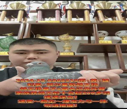 ���º،���˹�������ֱ��X�������ֱŮ