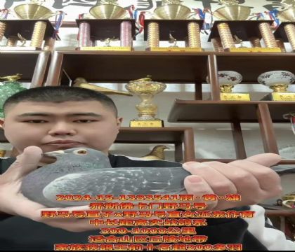 ��˹����Ұ����ֱ��XֱŮ��������