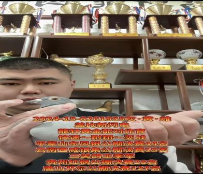 ���ٱ�Ѫ���Ǳȳ�������ŷֱ��X������ֱŮ����