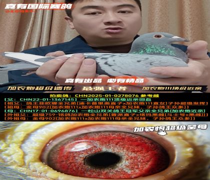 ����ũ�ڶ������׻�Ѫ����ũ�ڻƽ���Ի�Ѫ