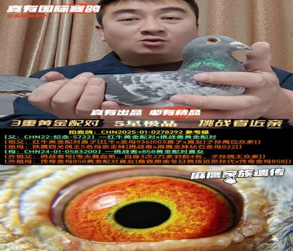 ��3�ػƽ���ԡ���ս�߽������