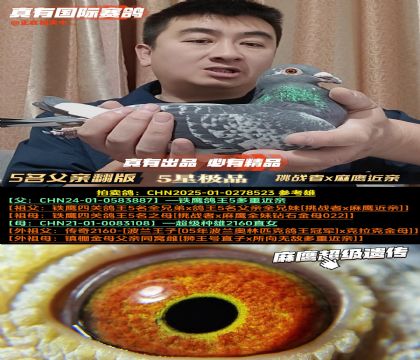 ������5�����׷��桷��ս��x��ӥ����