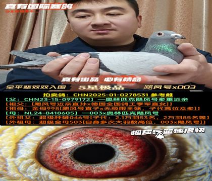 ��ȫƽ��˫˫��Χ��쫷��x003