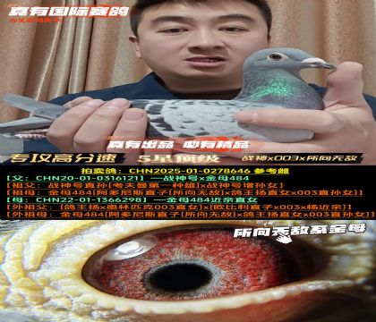 ��������ĸ�͡�ս��x003x�����޵�