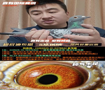 �������ϲ�����������xī�ƶ���x쫷��