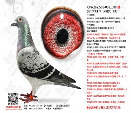 ��ǧ�谮��������ֱŮ