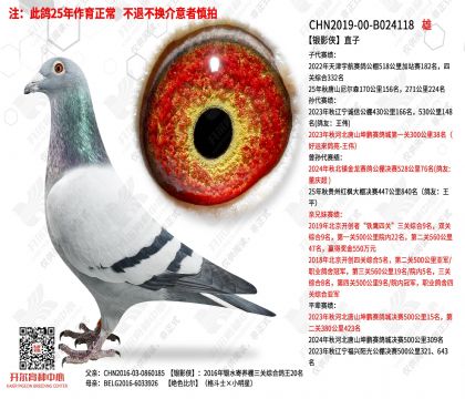 ��Ӱ��ֱ��