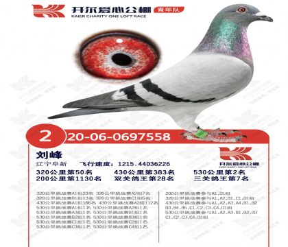 20�꿪������Ӿ����Ǿ�