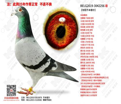 �����뱾�¶�