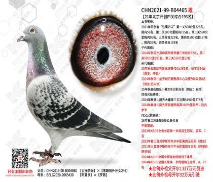 21�걱�������Ĺ��ۺ�193��