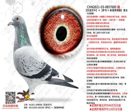 �ٷ����С������ʡ��¸�����櫡�ֱŮ