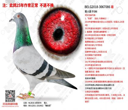 ����ֱ��086