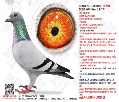 �ж�ֱ���ֱŮ  ��������