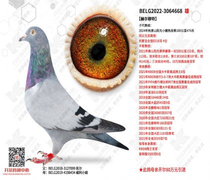 �ն�����