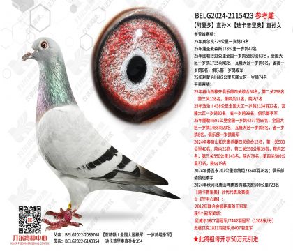 ������ֱ����Ͽ������ֱ��Ů