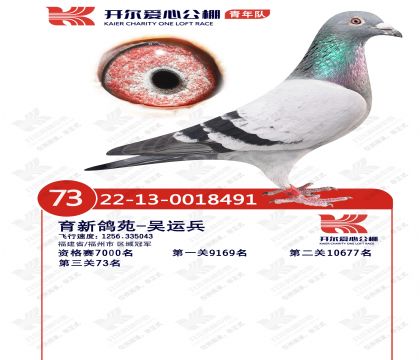 22�꿪�����Ĺ���(�����)����73��