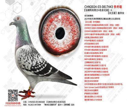 �����Ĺظ���4�����ֵܡ�������ֱ��Ů