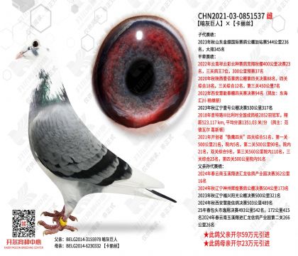 ���Ҿ��ˡ�����˿