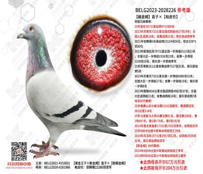 ��鵽�ķֱ�ӡ���Ƥ��